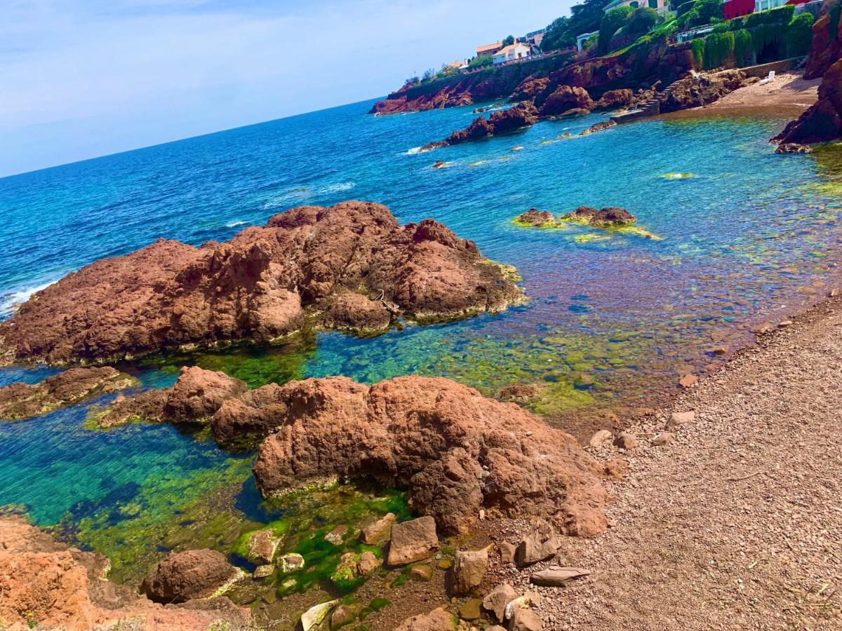 La Belle Vue-Charming Duplex Apartment With Sea View, 50 Meters From Beach And Private Parking Saint-Raphael (Var) Exterior foto